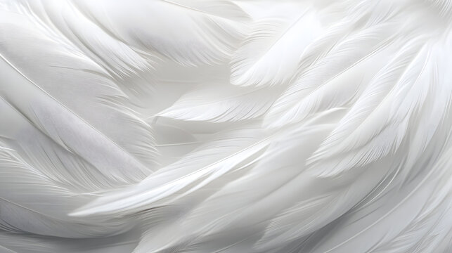 Closeup, white and feathers background for peace, calm and spirituality for God, religion and hope. Ai generated, feather and bird plumage for creative banner, texture or detail space for angel faith