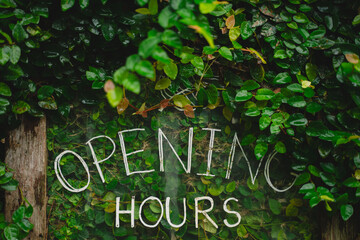 the open shop displayed vibrant signs inviting all to explore local businesses and charming cafes, where every green leaf whispered a warm welcome.