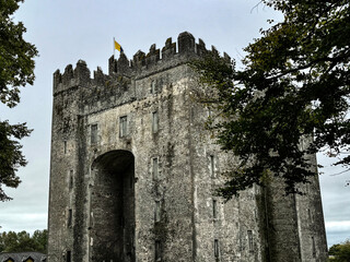 Castle in Ireland