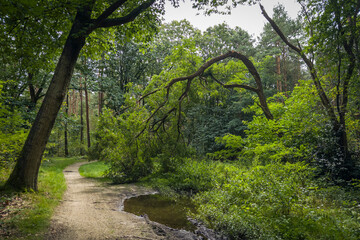 Der Wendelmannweg als Fahrradweg und Wanderweg, Bad Bentheim, Deutschland
