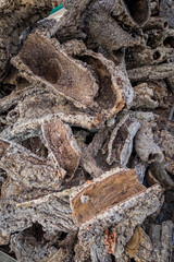 Rinde einer Korkeiche (Quercus suber) als Stückware