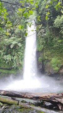 Curug Sawer is included in the Situ Gunung natural tourist area, which is in Kadudampit District, Sukabumi Regency. In ancient times Sawer Waterfall was known as a haunted place, scary.