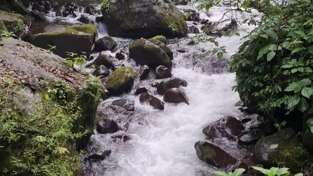 The strong flow of river water originates from Curug Saweri in the Situ Gunung natural tourist area, which is in Kadudampit District, Sukabumi Regency. In ancient times Sawer Waterfall was known as a 