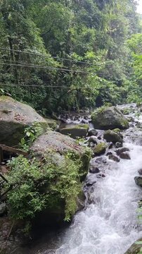 The strong flow of river water originates from Curug Saweri in the Situ Gunung natural tourist area, which is in Kadudampit District, Sukabumi Regency. In ancient times Sawer Waterfall was known as a 