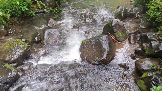 The strong flow of river water originates from Curug Saweri in the Situ Gunung natural tourist area, which is in Kadudampit District, Sukabumi Regency. In ancient times Sawer Waterfall was known as a 