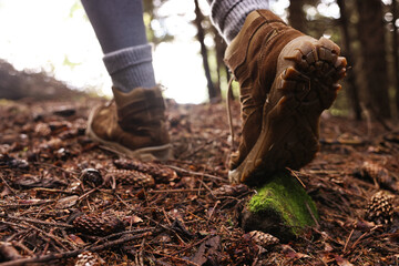 Hiker in trekking shoes walking in forest, closeup