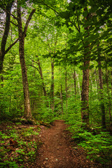 Mauricie National Park, Canada