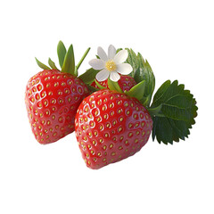 Fresh Two Strawberry Or Red Berry Isolated With Clipping Path Or Make Selection Healthy Food And Fruit 
