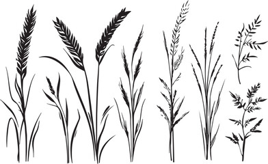 Set of minimalistic flat design wheat silhouettes. Hand drawn vector illustration	