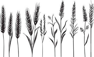 Set of minimalistic flat design wheat silhouettes. Hand drawn vector illustration