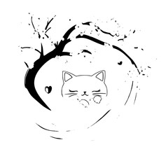 black and white cat