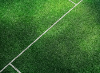 Obraz premium Green Field Lines.