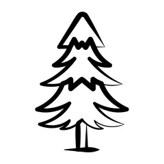 evergreen tree