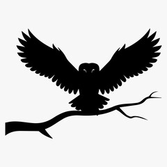Obraz premium Midnight Sentinel: The Bold Bald Owl