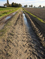 Feldweg mit Treckerspuren und Pfützen 