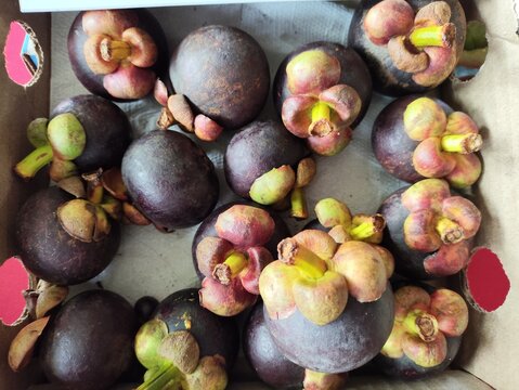 Frutas e sementes do Nordeste &eacute; uma das principais regi&otilde;es produtoras de frutas do Brasil
