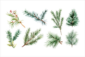 Set of festive watercolor illustration of christmas fir branches collection