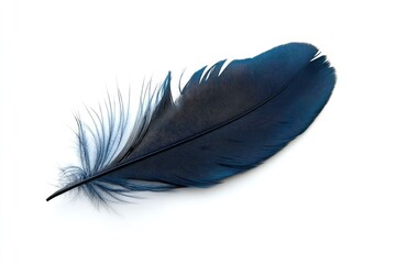 A single blue feather lying on a white surface.