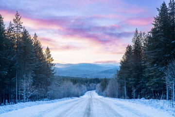 Snow-covered road winding through pine forest under a colorful twilight sky in winter. A road flanked by tall pine trees, as a vibrant twilight sky descends on the winter landscape.