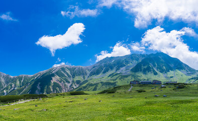 Fototapeta premium 室堂のパノラマ風景