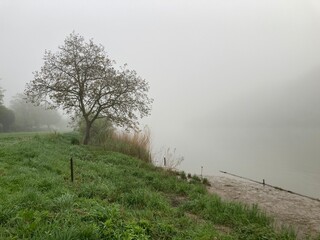 Nebel am Fluss Mosel verzaubert Ufer mystisch