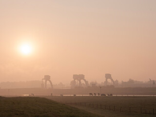 stuwcomplex amerongen on misty morning with cows