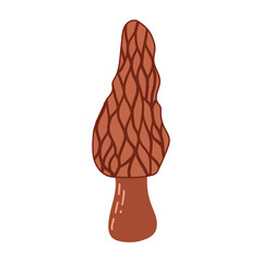 Hand Drawn Brown Morel Mushroom Illustration Isolated on White Background. Autumn Forest Harvest. Fall Season Flora