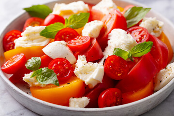 Tomato salad with mozzarella cheese and fresh basil. Close up.