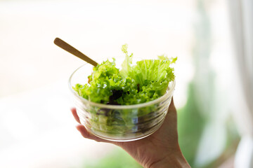 Hand holding bowl of healthy organic vegetables salad.