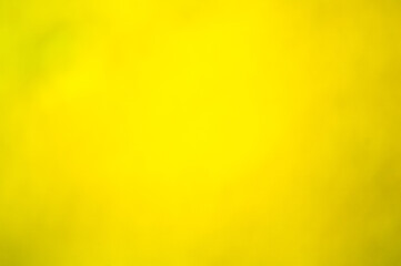 Abstract yellow background with bokeh defocused lights and shadow