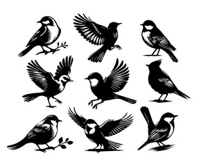 set of silhouettes of birds