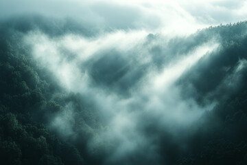 Fototapeta premium A misty background with soft light,