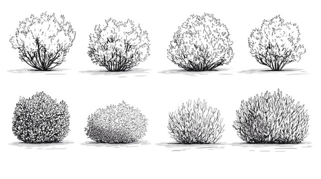 Set of vector bush illustrations on a white background. Architectural Drawings, Minimal style cad bush drawing, Side view, set of graphics bushes elements outline symbol for landscape design drawing