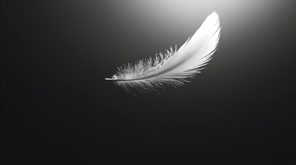Obraz premium A Solitary Feather Drifting through the Serene Atmosphere