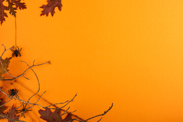 Halloween composition. Halloween decorations old branches from scary forest with pumpkins, web, spiders and autumn leaves on orange background top view. Halloween party greeting card copy space.
