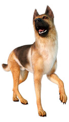 3D Rendering German Shepherd on White