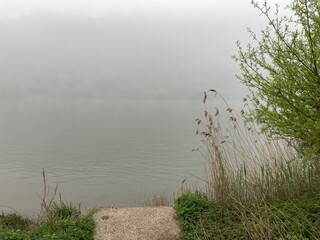 Landschaft am Fluss im Nebel / Mosel mit Steg und Gräsern