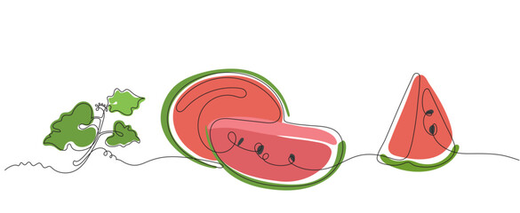 Watermelon color illustration with leaf in vector in minimalist style