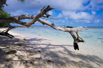 Strand und Meer 