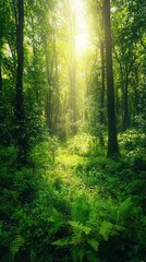 Obraz premium Sunlight filters through lush trees in a serene forest, creating a peaceful and vibrant atmosphere among green foliage.