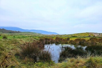 Fototapeta premium Humedal en un paraje de Galicia