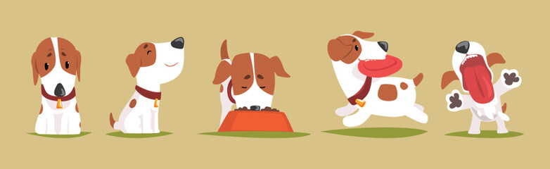 Funny Jack Russell Terrier Puppy with Cute Snout Vector Set