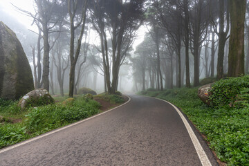 Obraz premium Serra de Sintra - Portugal 
