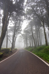 Fototapeta premium Serra de Sintra - Portugal 