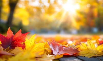 A vibrant autumn scene with colorful leaves scattered on the ground, illuminated by the warm sunlight filtering through trees.