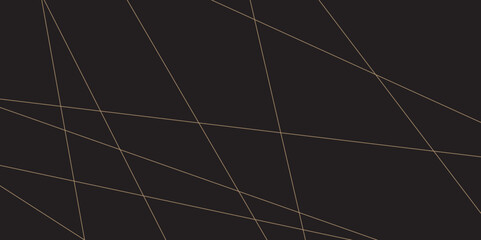 abstract Luxury banner presentation line background.background, pattern, abstract, business, texture, design, technology, banner, frame, vintage, art, illustration, party, light, concept.
