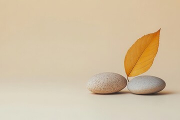 Minimalist branding scene using natural stone and autumn foliage. Empty Podium presentation of cosmetics.
