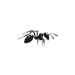 Ant black silhouette vector