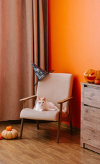 The interior of the living room with an armchair and a chest of drawers and Halloween decorations