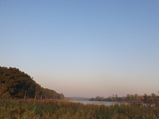 Obraz premium A pond overgrown with reeds at sunset, a deciduous forest visible in the distance, nature